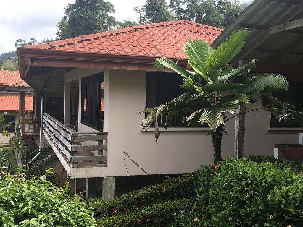 Many'S House Hotel Ballena Exterior photo